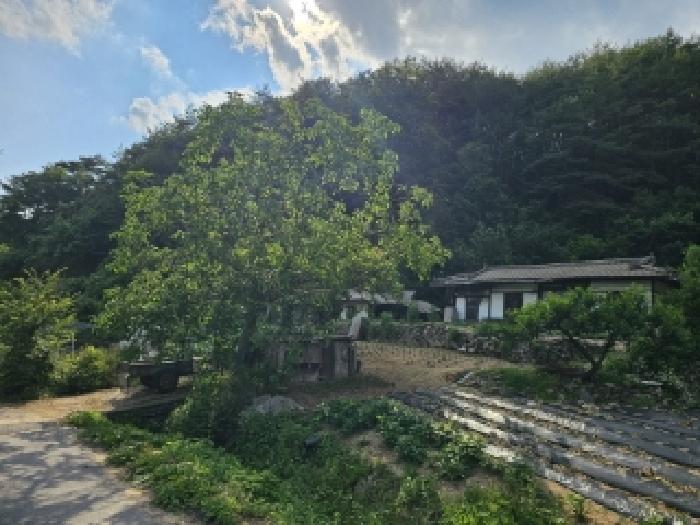 경북 봉화군 법전면 전 경매 물건 사진 3 · 2025타경100391