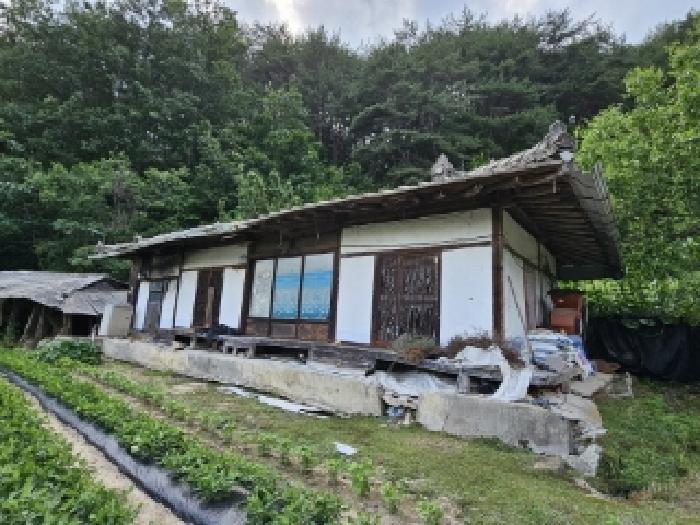 경북 봉화군 법전면 전 경매 물건 사진 6 · 2025타경100391