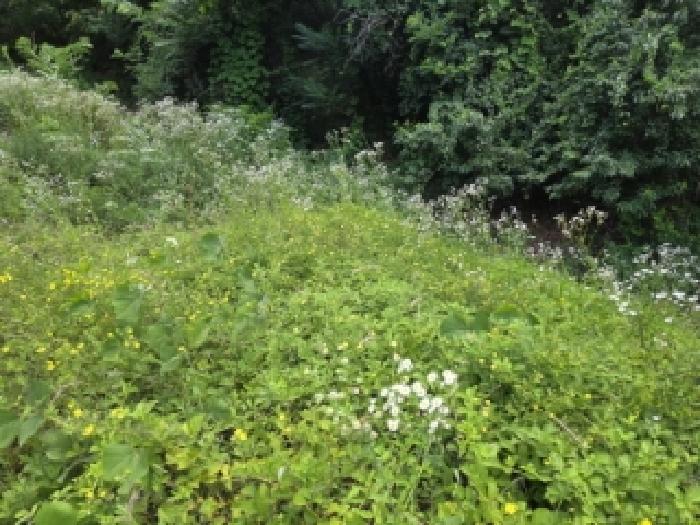 경북 안동시 용상동 전 경매 물건 사진 2 · 2025타경100401