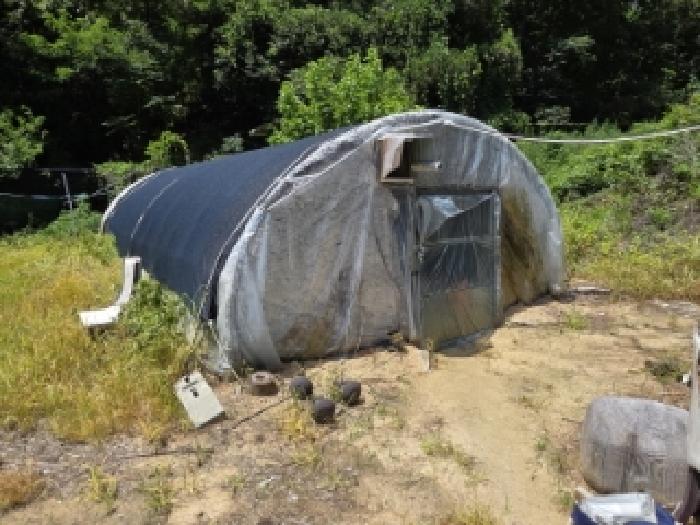 경북 안동시 와룡면 대지,임야,전답 경매 물건 사진 4 · 2025타경100436