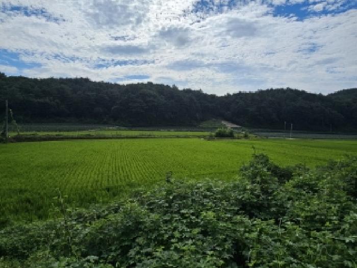 경북 봉화군 물야면 답 경매 물건 사진