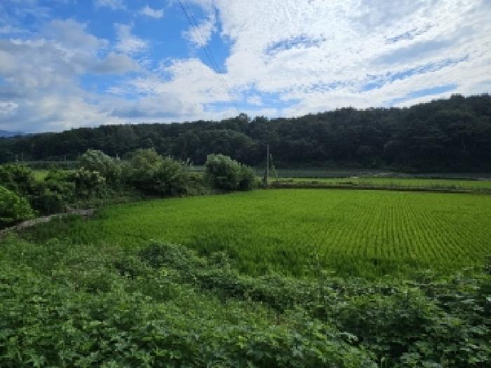 경북 봉화군 물야면 답 경매 물건 사진 2 · 2025타경100449