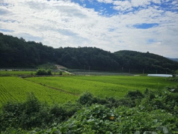 경북 봉화군 물야면 답 경매 물건 사진 3 · 2025타경100449