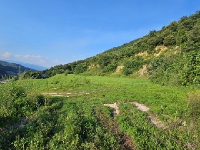 경북 영주시 봉현면 과수원 경매 물건 사진