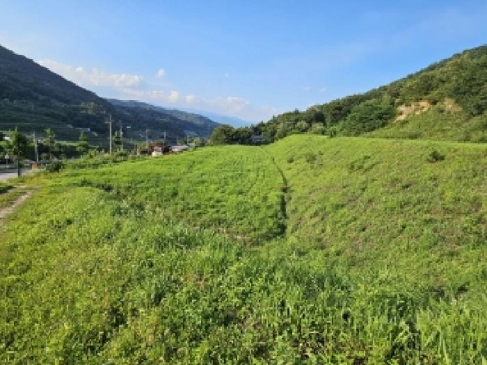 경북 영주시 봉현면 과수원 경매 물건 사진 2 · 2025타경100457