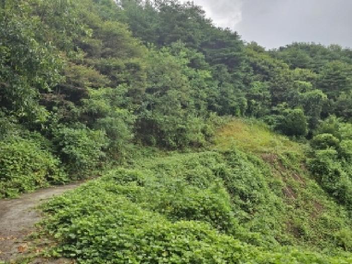 경북 영주시 이산면 전 경매 물건 사진