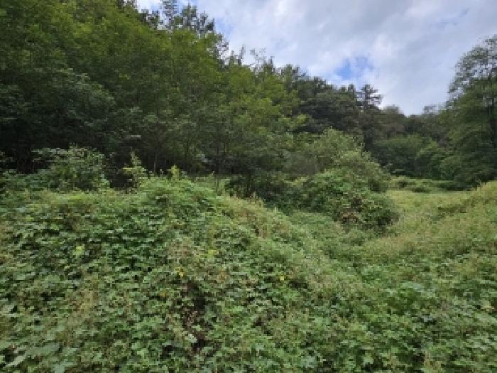 경북 영주시 부석면 과수원 경매 물건 사진