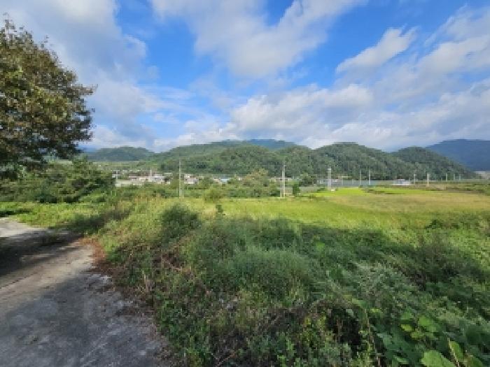 경북 영주시 순흥면 전 경매 물건 사진 3 · 2025타경100513