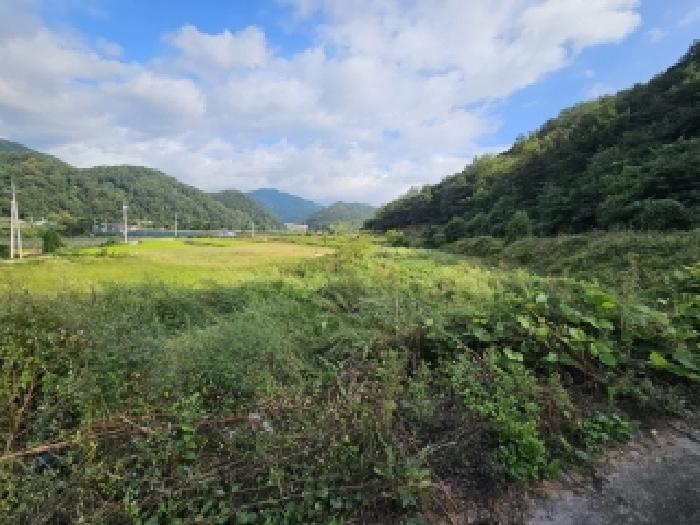 경북 영주시 순흥면 전 경매 물건 사진 6 · 2025타경100513