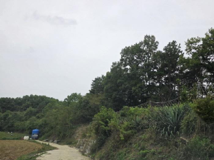 경북 안동시 와룡면 임야 경매 물건 사진 2 · 2025타경100528
