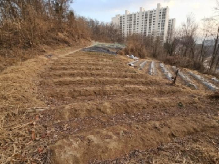 경북 영주시 상망동 임야 경매 물건 사진 3 · 2025타경100540
