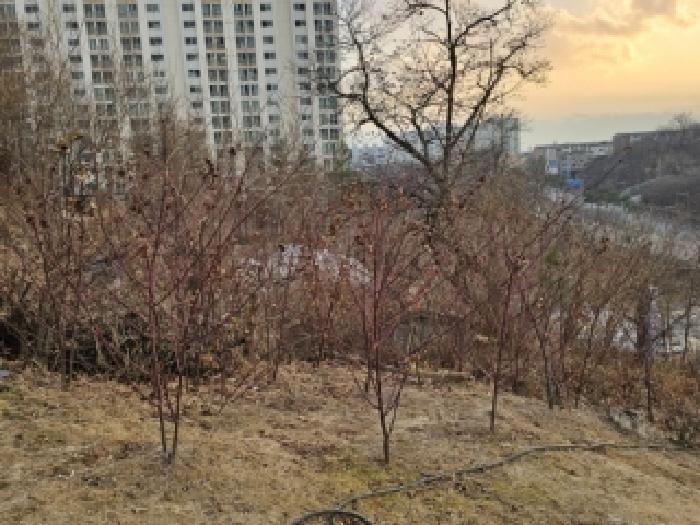 경북 영주시 상망동 임야 경매 물건 사진 4 · 2025타경100540