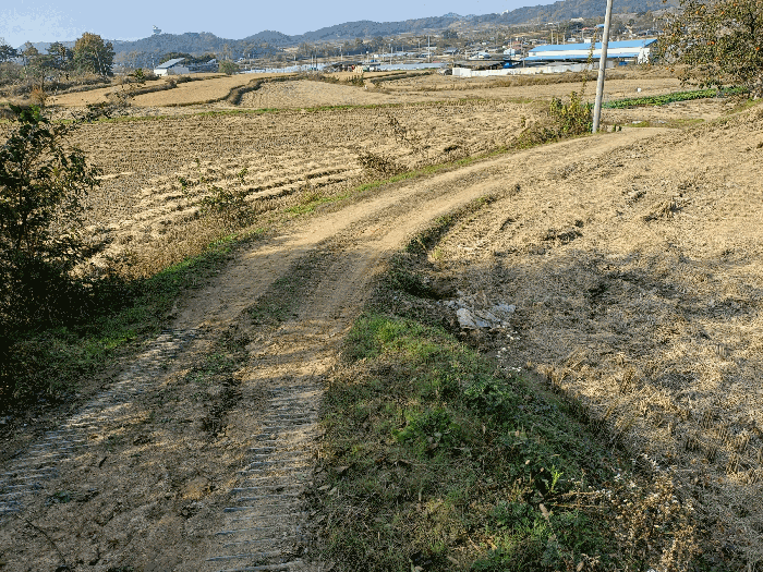 경북 안동시 풍천면 답 경매 물건 사진 6 · 2025타경100549