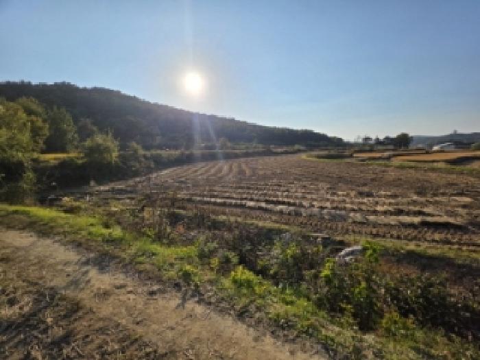 경북 안동시 풍천면 답 경매 물건 사진