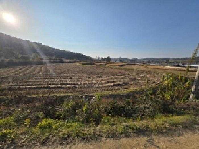 경북 안동시 풍천면 답 경매 물건 사진 2 · 2025타경100549