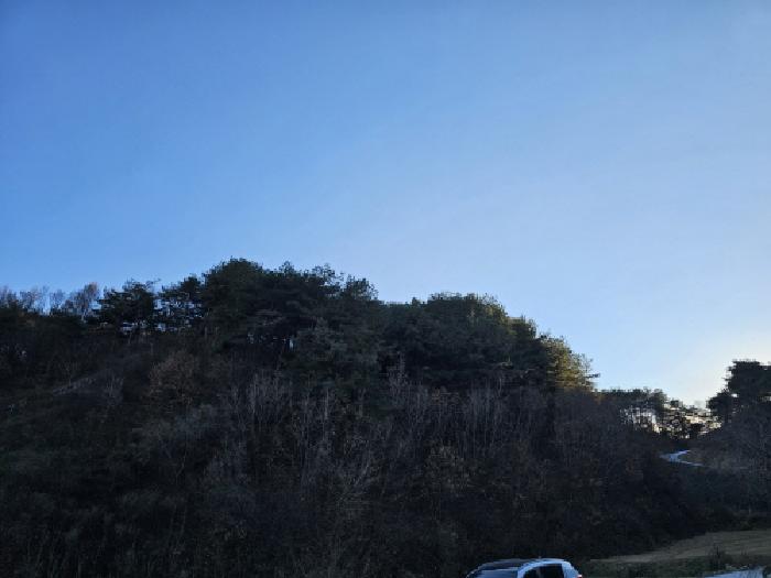경북 영주시 이산면 임야 경매 물건 사진 2 · 2025타경100556