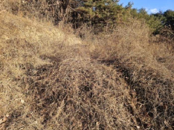 경북 영주시 이산면 임야 경매 물건 사진 5 · 2025타경100556