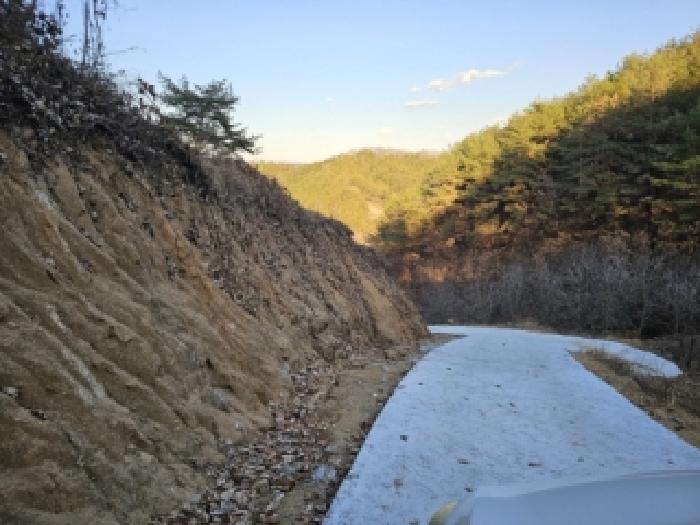 경북 영주시 이산면 임야 경매 물건 사진 6 · 2025타경100556