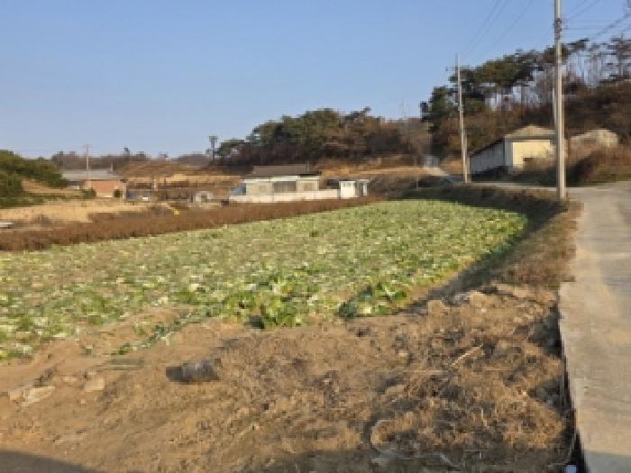 경북 안동시 풍산읍 전 경매 물건 사진