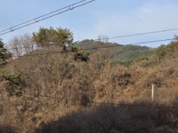 경북 안동시 녹전면 대지,임야,전답 경매 물건 사진