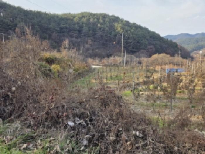 경북 안동시 녹전면 대지,임야,전답 경매 물건 사진 2 · 2025타경100565