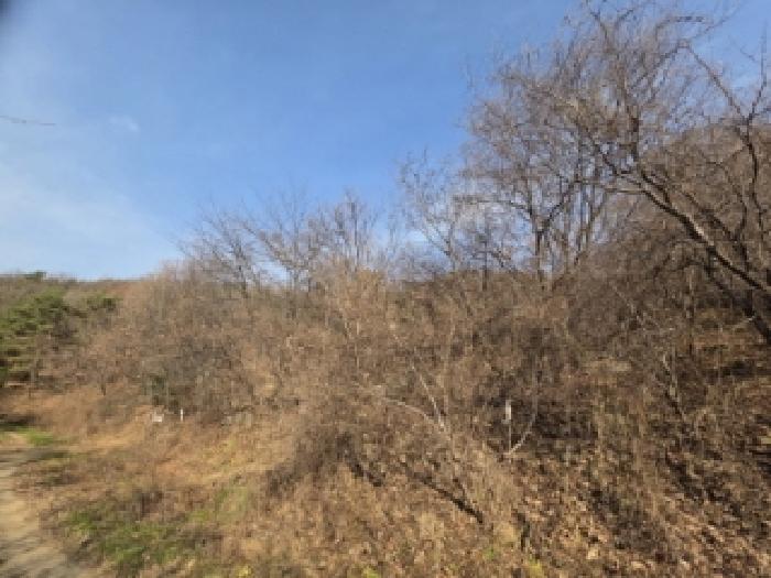 경북 안동시 녹전면 대지,임야,전답 경매 물건 사진 4 · 2025타경100565