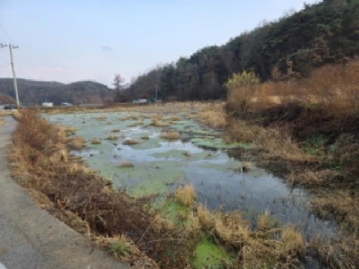 경북 안동시 와룡면 답 경매 물건 사진 3 · 2025타경100576