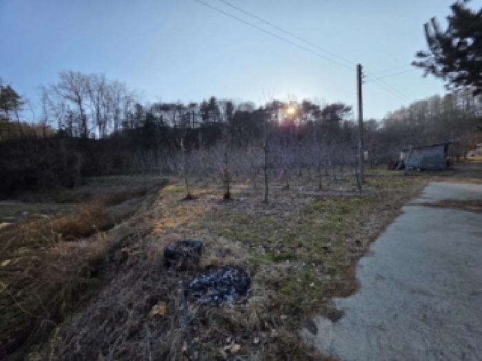 경북 봉화군 물야면 임야 경매 물건 사진 3 · 2025타경100598