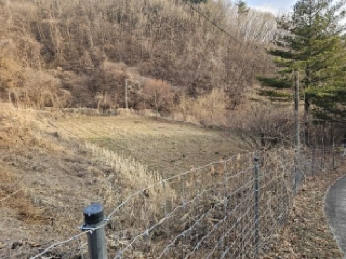 경북 봉화군 물야면 전답 경매 물건 사진