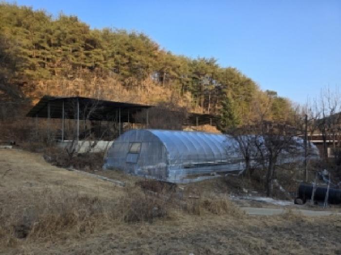 경북 안동시 도산면 동물및식물관련시설 경매 물건 사진 3 · 2025타경100613