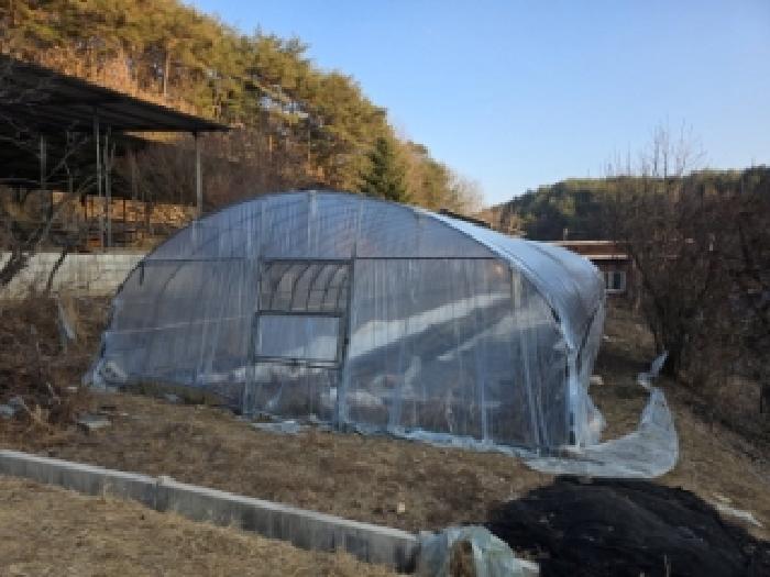 경북 안동시 도산면 동물및식물관련시설 경매 물건 사진 5 · 2025타경100613