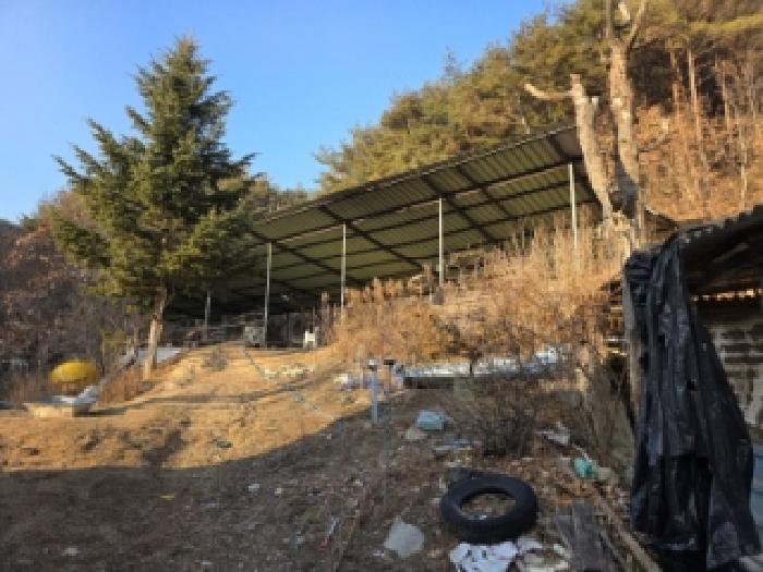 경북 안동시 도산면 동물및식물관련시설 경매 물건 사진 6 · 2025타경100613
