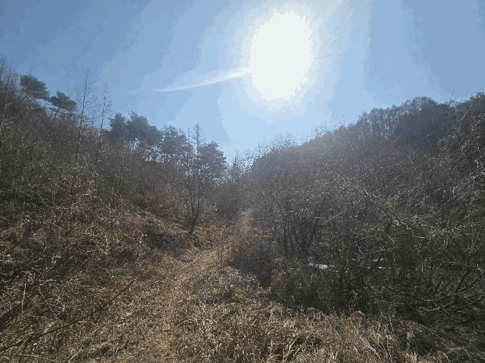 경북 안동시 북후면 임야 경매 물건 사진 4 · 2025타경100620