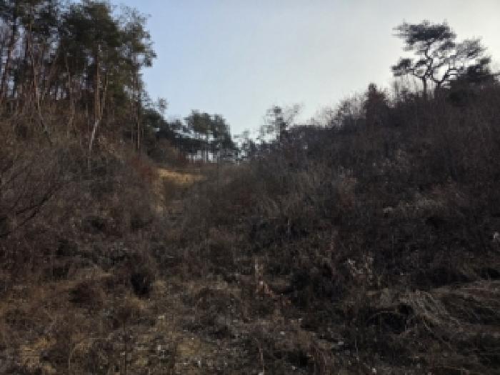 경북 안동시 북후면 임야 경매 물건 사진