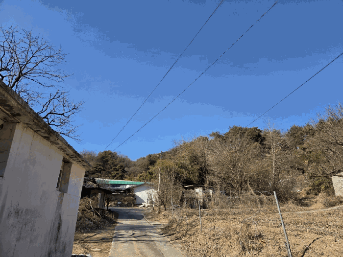 경상북도 영주시 안정면 묵리 산18-5 임야 경매 물건 사진