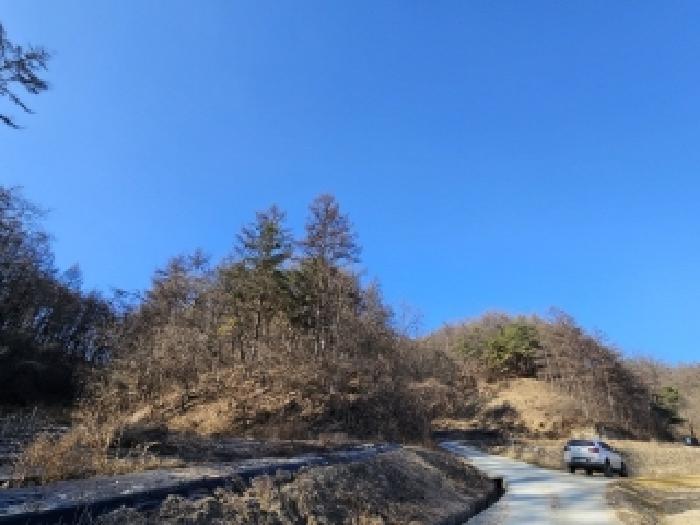 경북 영주시 안정면 임야 경매 물건 사진 2 · 2025타경10068