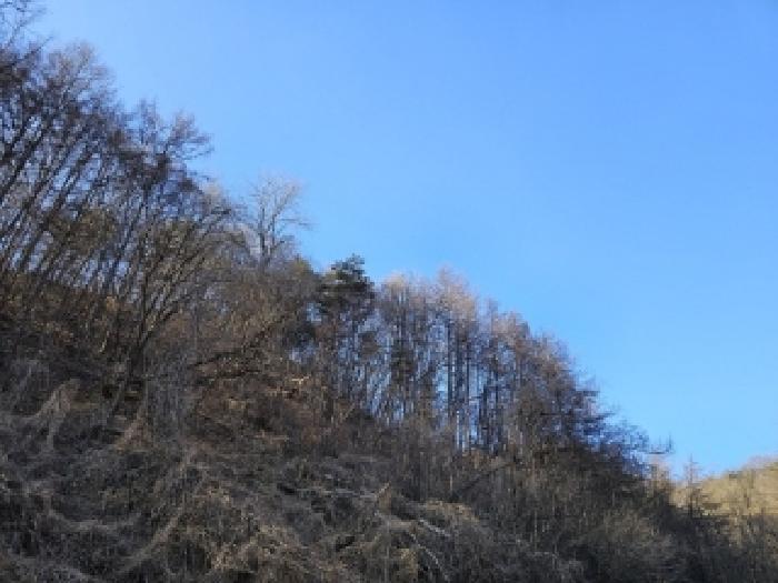 경북 영주시 안정면 임야 경매 물건 사진 4 · 2025타경10068