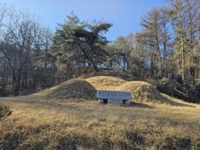 경북 영주시 안정면 임야 경매 물건 사진 5 · 2025타경10068