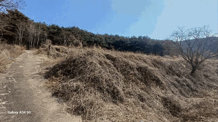 경상북도 안동시 풍천면 가곡리 440-1 답 경매 물건 사진