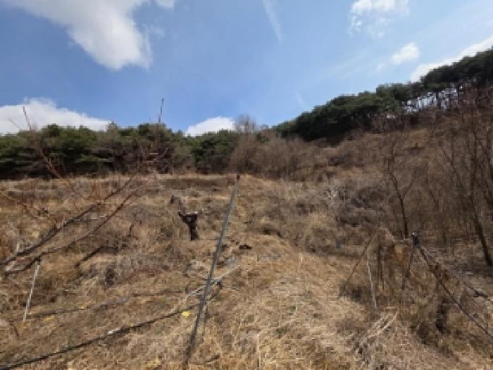 경북 안동시 풍천면 답 경매 물건 사진 2 · 2025타경10204