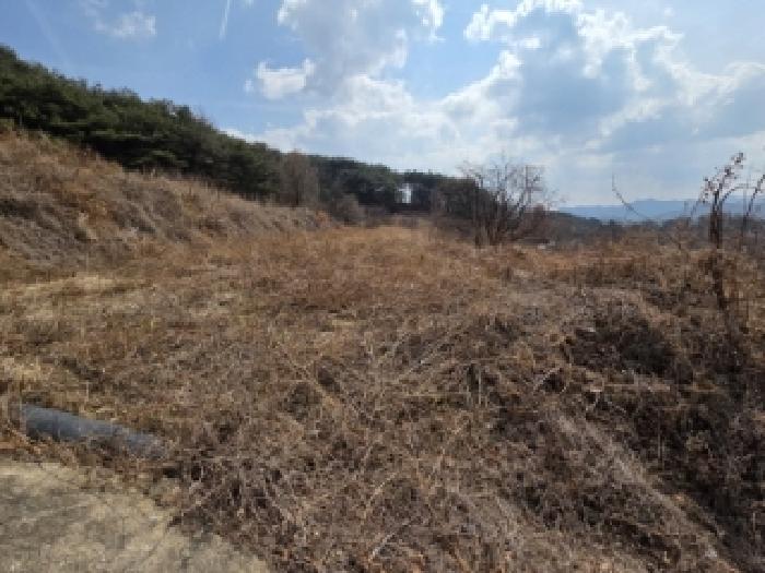 경북 안동시 풍천면 답 경매 물건 사진 3 · 2025타경10204