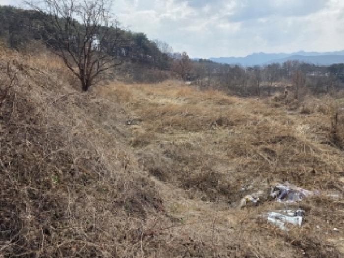 경북 안동시 풍천면 답 경매 물건 사진 5 · 2025타경10204