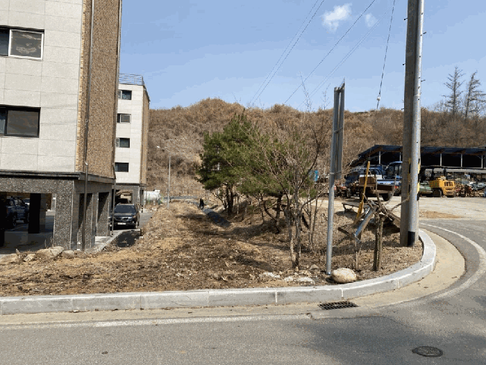 경북 봉화군 봉화읍 전 경매 물건 사진 6 · 2025타경10266