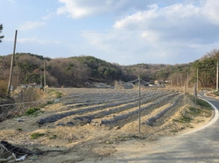 경북 안동시 풍산읍 답 경매 물건 사진