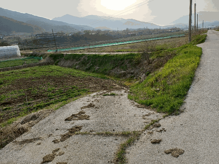 경상북도 봉화군 춘양면 도심리 321 답 경매 물건 사진