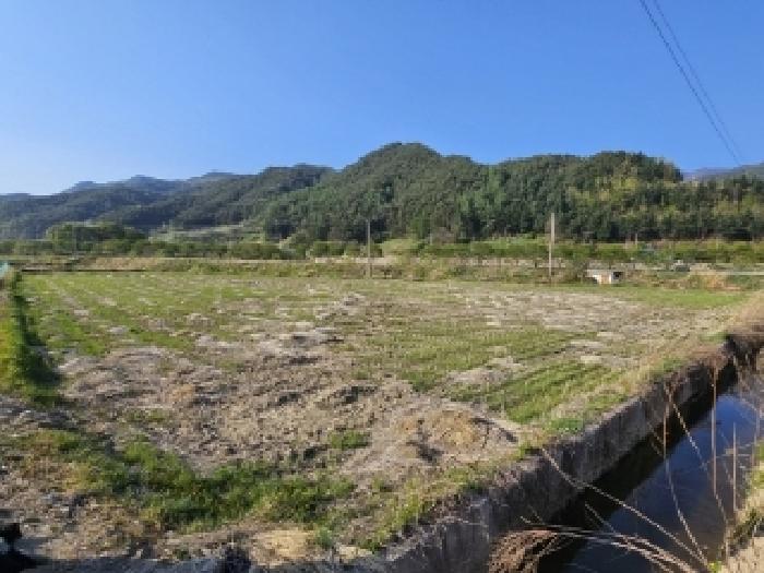 경북 봉화군 춘양면 전 경매 물건 사진