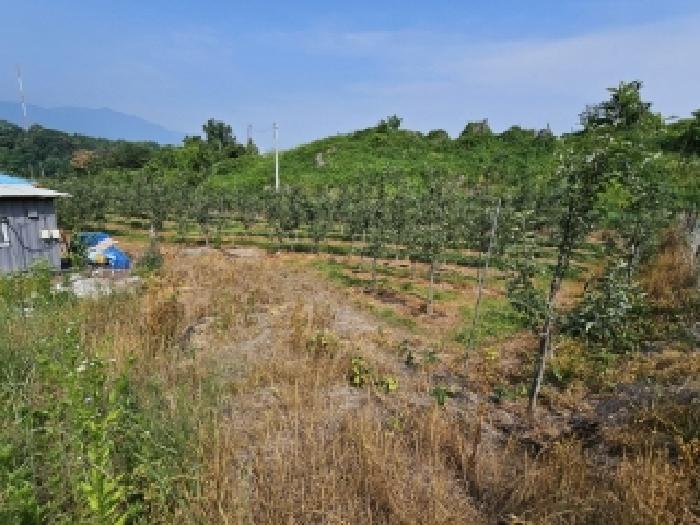 경북 영주시 안정면 전 경매 물건 사진 6 · 2025타경10587