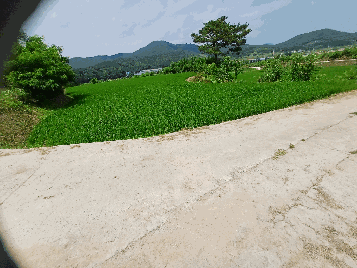경북 안동시 풍산읍 전 경매 물건 사진 5 · 2025타경10730