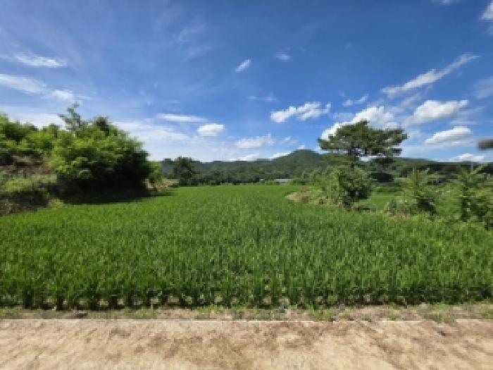 경북 안동시 풍산읍 전 경매 물건 사진