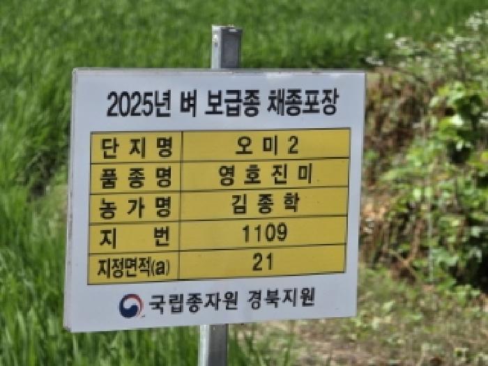 경북 안동시 풍산읍 전 경매 물건 사진 2 · 2025타경10730
